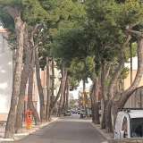 A Bitonto la via Appia-Traiana � divenuta un viale alberato su cui � posto il cimitero cittadino...